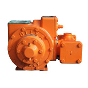 Rotary vane pump (Italy)