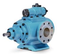 Twin screw pump